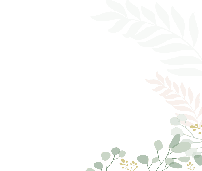 Product Description Background
