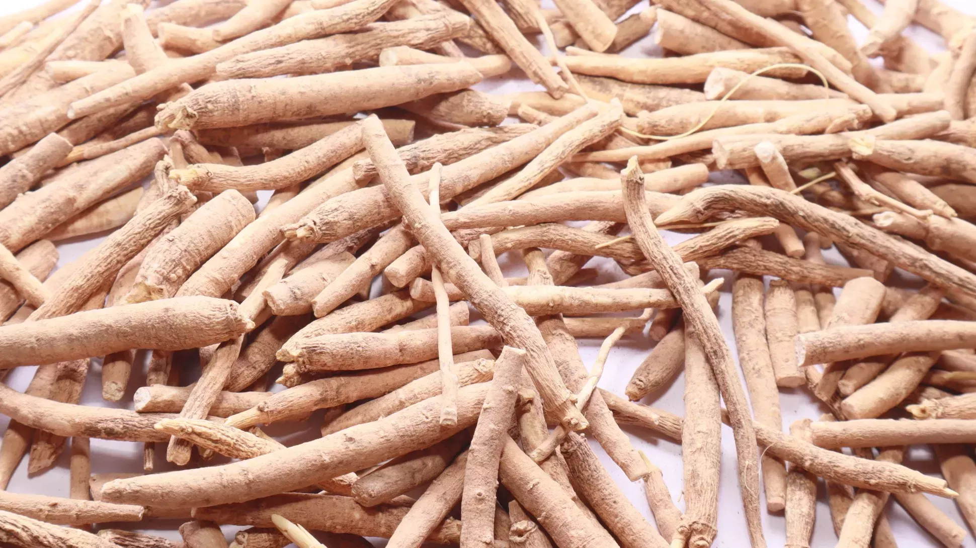 The Power of Ashwagandha: Nature’s Stress-Relief and Energy Booster